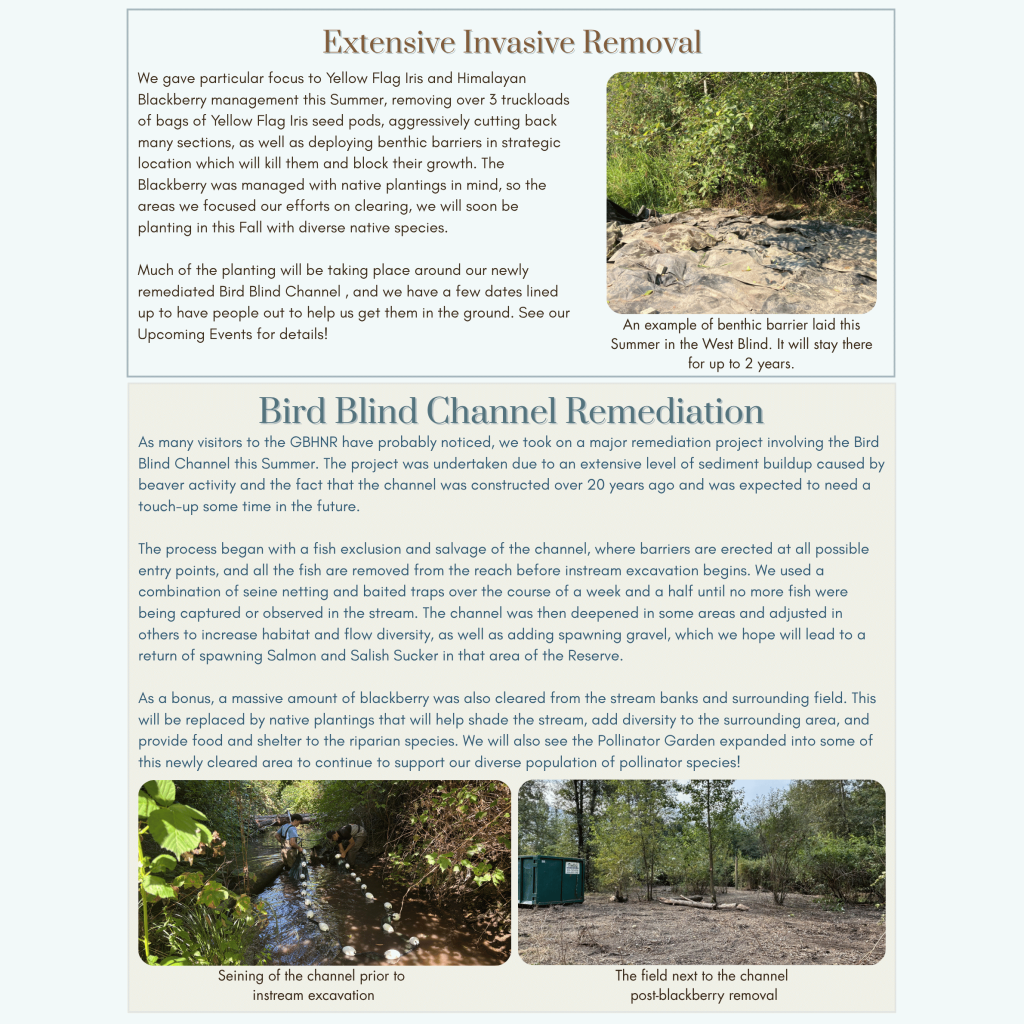 Fall 2026 Member Newsletter (Square Pillow) (1).png