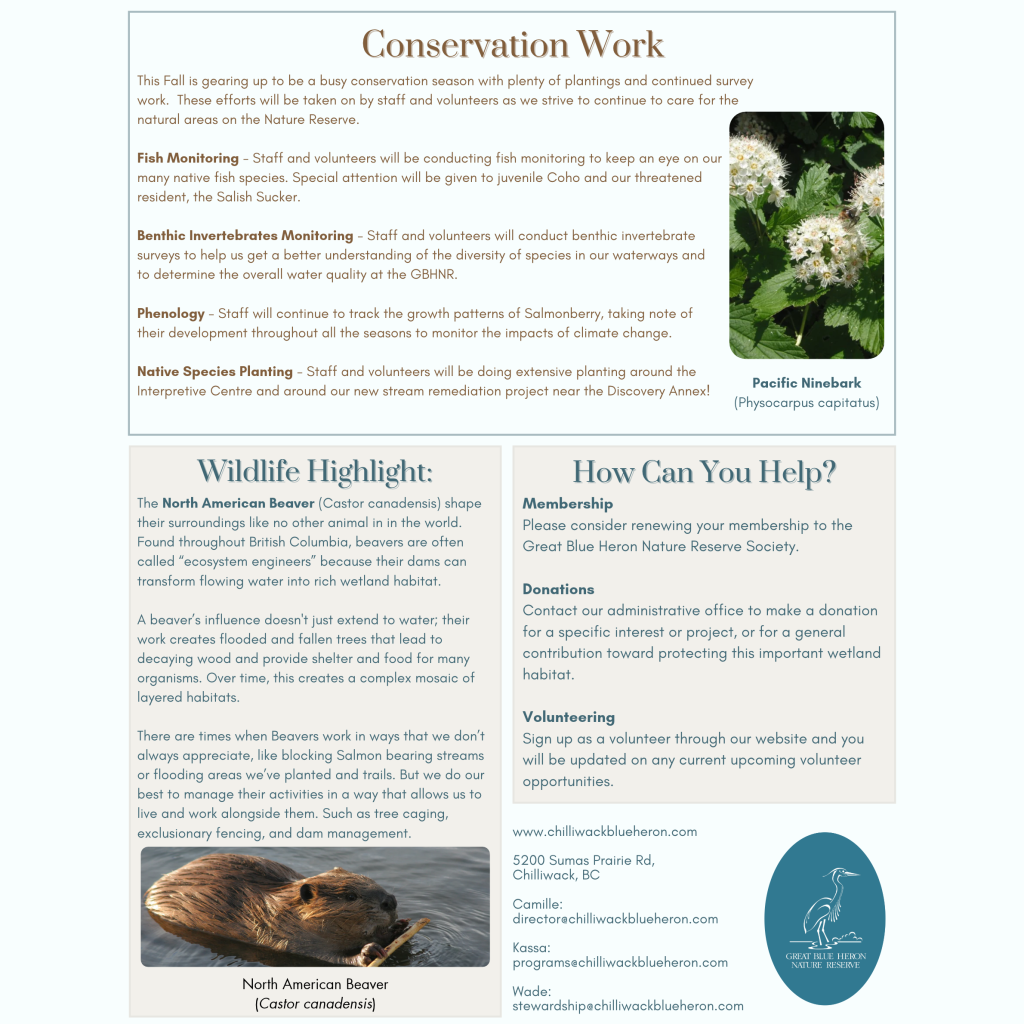 Fall 2026 Member Newsletter (Square Pillow) (3).png