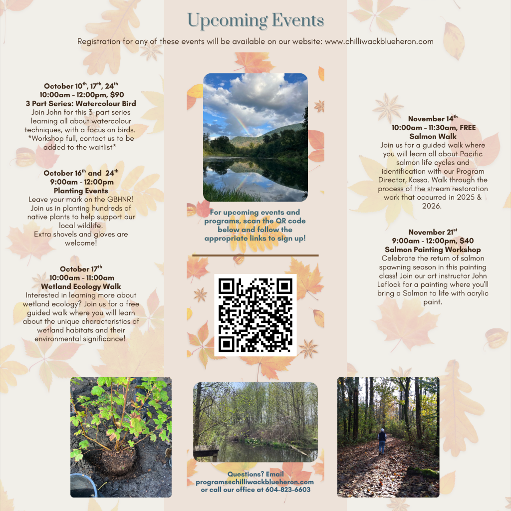 Fall 2026 Member Newsletter (Square Pillow) (4).png